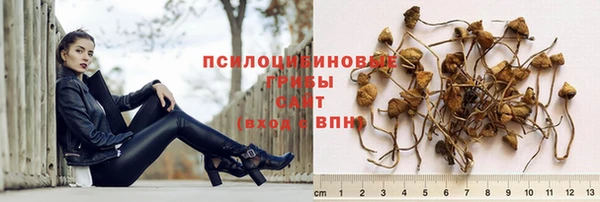 твердый Богданович