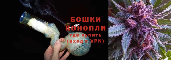 PSILOCYBIN Богородск