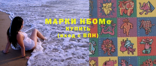 твердый Богданович