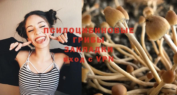 PSILOCYBIN Богородск