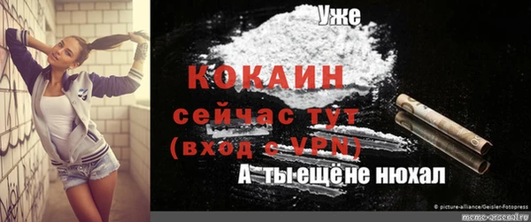 твердый Богданович